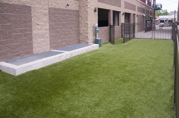 Outdoor Bark Park for dogs to go outside and play. Area is fenced in green grace.